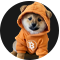 DOG image